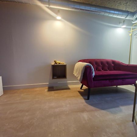 Le Cocon Troglodyte Apartman Saint-Étienne-de-Chigny Kültér fotó