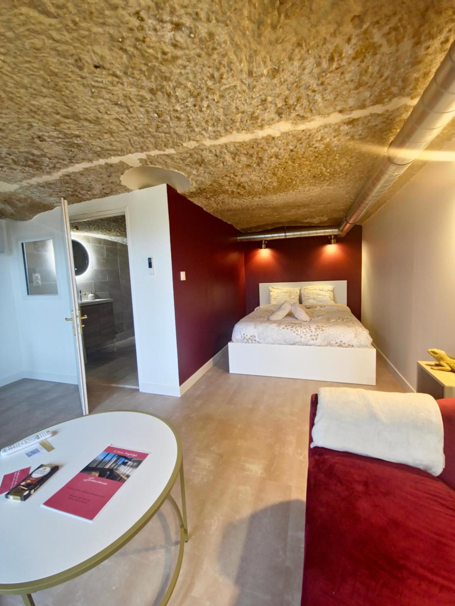 Le Cocon Troglodyte Apartman Saint-Étienne-de-Chigny Kültér fotó